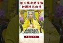 【法師法語】身爲淨土學者，你要做什麽？必須看之影片｜釋道盛法師法語