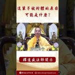 【法師法語】這輩子被附體的原因可能是什麽？