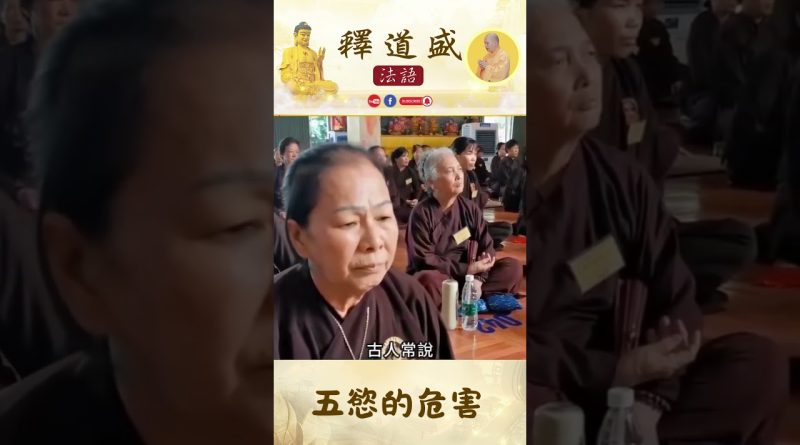 五慾的危害【法師法語】｜釋道盛法師法語