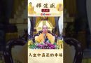 人生中真正的幸福【法師法語】｜釋道盛法師法語