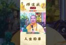 人生因果【法師法語】｜釋道盛法師法語