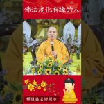 佛陀只能度化哪種人？你跟佛有緣嗎？｜釋道盛法師法語【法師法語】