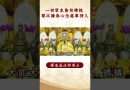 佛陀教導最重要的秘籍！你知道了嗎？｜釋道盛法師法語【法師法語】