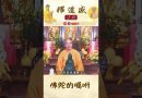 佛陀的囑咐【法師法語】｜釋道盛法師法語