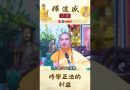 修學正法的利益【法師法語】｜釋道盛法師法語