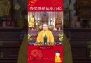 修行秘籍六⚠️為何修學必須從基礎開始？成功的第一步是打好根基【法師法語】｜釋道盛法師法語