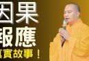 因果 | 因果報應，真實故事｜釋道盛法師法語