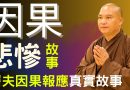 因果報應！一個家庭殺生的悲慘故事 ！因果報應是真的~｜釋道盛法師法語【法師法語】