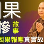 因果報應！一個家庭殺生的悲慘故事 ！因果報應是真的~｜釋道盛法師法語【法師法語】