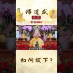 如何放下【法師法語】｜釋道盛法師法語