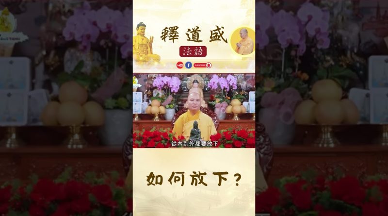 如何放下【法師法語】｜釋道盛法師法語