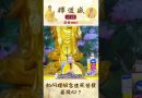 如何理解念生死苦發菩提心【法師法語】｜釋道盛法師法語
