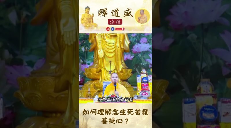 如何理解念生死苦發菩提心【法師法語】｜釋道盛法師法語