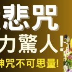得了癌症怎麼辦？｜大悲咒可以治愈癌症？| 只要經過有死人的地方就容易被附體要怎麼辦? | 觀音神咒的威力不可思量！| 釋道盛法師法語