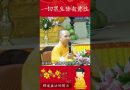 必看之影片⚠️佛教的智慧：一切眾生皆有佛性，為何人人都能成佛？【法師法語】｜釋道盛法師法語