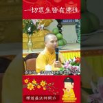 必看之影片⚠️佛教的智慧：一切眾生皆有佛性，為何人人都能成佛？【法師法語】｜釋道盛法師法語