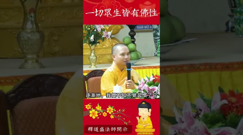 必看之影片⚠️佛教的智慧：一切眾生皆有佛性，為何人人都能成佛？【法師法語】｜釋道盛法師法語