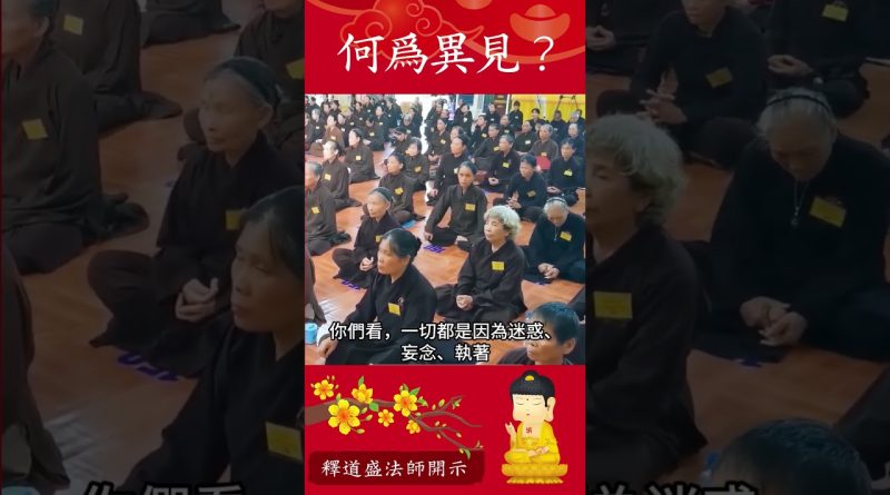 必看修行手冊⚠️何為異見？佛教教義如何幫助我們正確看待世界【法師法語】｜釋道盛法師法語
