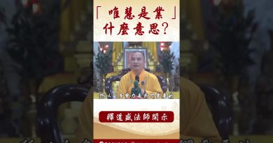 法師為你解釋：「唯慧是業」的意思？#學佛#佛教 #channel  #shorts#阿彌陀佛