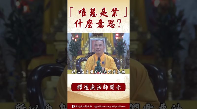 法師為你解釋：「唯慧是業」的意思？#學佛#佛教 #channel  #shorts#阿彌陀佛