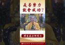 法師開示： 佛陀教導的人生道理 #念佛 #學佛 #https #正能量 #努力 #智慧 #buddha #buddhism #channel