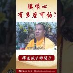 法師開示：佛陀所教導常打罵別人死後會怎麼樣？ #學佛 #念佛 #https #人生感悟 #阿彌陀佛 #正能量 #channel