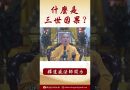 法師開示：佛陀教導的三世因果 #念佛 #正能量 #人生感悟 #學佛 #channel #shorts #buddha #buddhateachings #buddhism