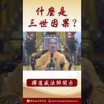 法師開示：佛陀教導的三世因果 #念佛 #正能量 #人生感悟 #學佛 #channel #shorts #buddha #buddhateachings #buddhism
