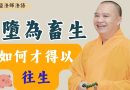 神識墮為畜生，如何才得以往生？｜釋道盛法師法語【法師法語】