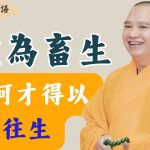 神識墮為畜生，如何才得以往生？｜釋道盛法師法語【法師法語】