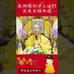 能夠遇到淨土法門  其是至極幸運【法師法語】｜釋道盛法師法語