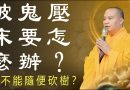 被鬼壓床要怎麼辦？能不能隨便砍樹？| 釋道盛法師法語