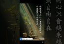 非常值得看的佛教語錄｜釋道盛法師法語