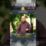 15 Minutes a Day for a Peaceful Heart | Master Thich Dao Thinh | Thich Dao Thinh Quotes