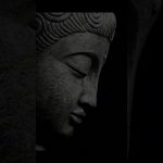 A precious encounter | Master Thich Dao Thinh | Thich Dao Thinh Quotes