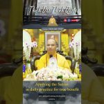 Applying the Sutras in daily practice for true benefit | Master Thich Dao Thinh