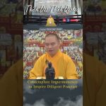 Contemplate Impermanence to Inspire Diligent Practice | Master Thich Dao Thinh