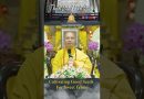 Cultivating Good Seeds for Sweet Fruits | Master Thich Dao Thinh | Thich Dao Thinh Quotes