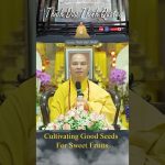 Cultivating Good Seeds for Sweet Fruits | Master Thich Dao Thinh | Thich Dao Thinh Quotes