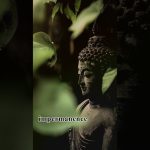 Daily Reflection on Thoughts | Master Thich Dao Thinh | Thich Dao Thinh Quotes