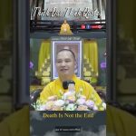 Death Is Not the End | Master Thich Dao Thinh | Thich Dao Thinh Quotes