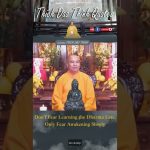 Don’t Fear Learning the Dharma Late, Only Fear Awakening Slowly | Master Thich Dao Thinh