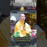Faith Is Essential on the Buddhist Path| Master Thich Dao Thinh | Thich Dao Thinh Quotes