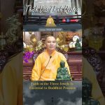 Faith in the Three Jewels Is Essential to Buddhist Practice | Master Thich Dao Thinh