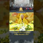 Fear While Chanting — What Should I Do? | Master Thich Dao Thinh | Thich Dao Thinh Quotes