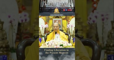 Finding Liberation in the Present Moment | Master Thich Dao Thinh | Thich Dao Thinh Quotes
