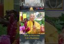 How to Overcome Life’s Hardships | Master Thich Dao Thinh | Thich Dao Thinh Quotes