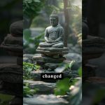 Karma brings us together, Compassion helps us grow| Master Thich Dao Thinh | Thich Dao Thinh Quotes