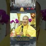 Listen to the Dharma—Plant Seeds of Goodness For Your Life | Thich Dao Thinh Quotes