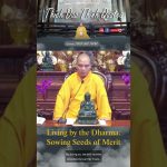 Living by the Dharma Sowing Seeds of Merit | Master Thich Dao Thinh | Thich Dao Thinh Quotes